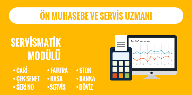 Servismatik Programı